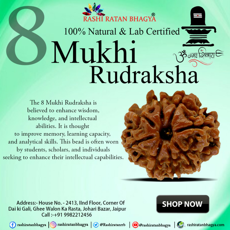 Buy Mukhi Rudraksha Fromrashiratanbhagya At Genuine Mukhi Rudraksha