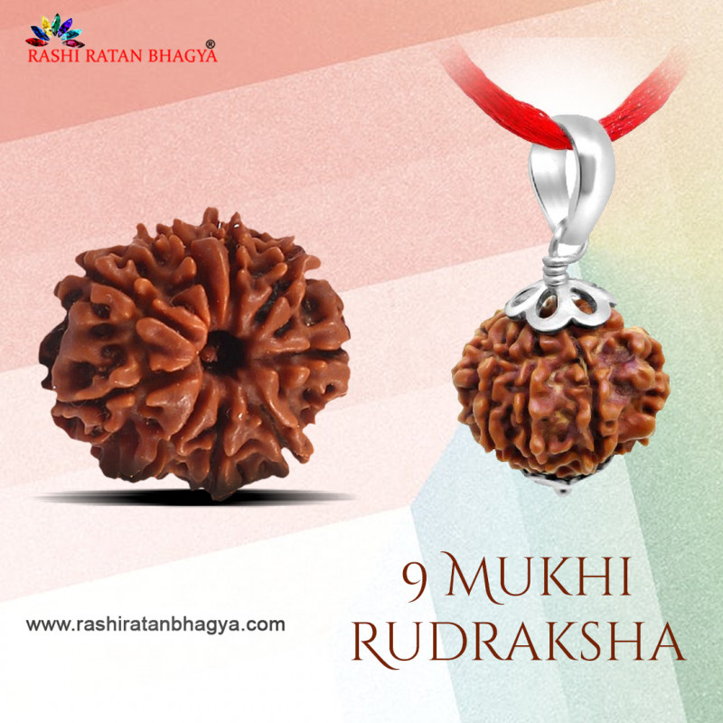 Buy Certified Mukhi Rudraksha Online In India Mukhi Rudraksha