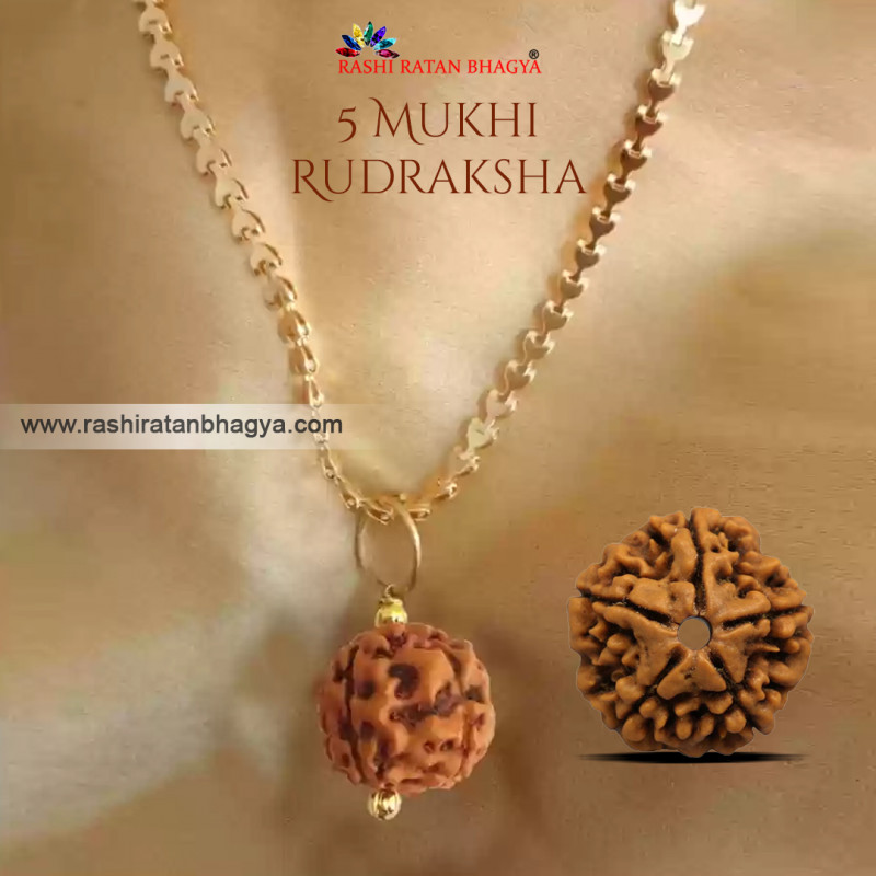 Buy 5 Mukhi Rudraksha FromRashiRatanBhagya At Genuine 5 Mukhi Rudraksha