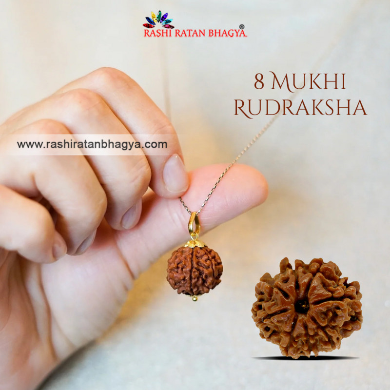 Buy Mukhi Rudraksha From Rashi Ratan Bhagya At Genuine Mukhi