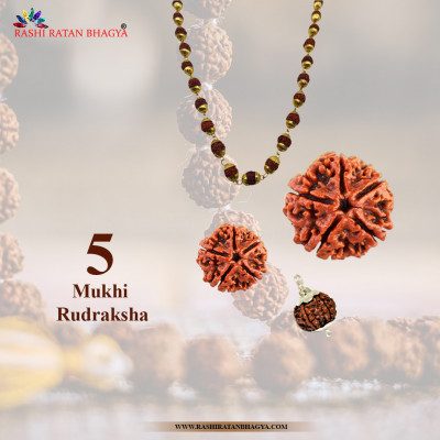 Buy Mukhi Rudraksha Fromrashiratanbhagya At Genuine Mukhi Rudraksha