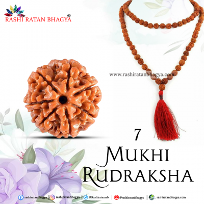 Buy Mukhi Rudraksha From Rashi Ratan Bhagya At Genuine Mukhi