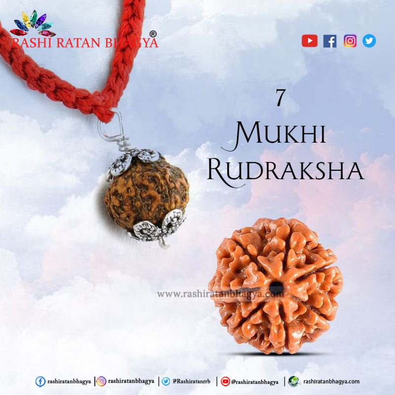 Buy Certified Mukhi Rudraksha Online In India Mukhi Rudraksha