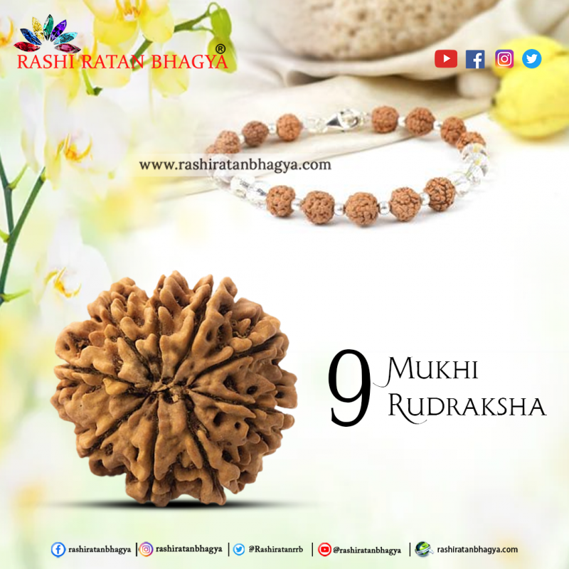 Buy 9 Mukhi Rudraksha Beads Online At Rashi Ratan Bagya 9 Mukhi Rudraksha