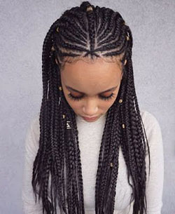 frisurentrends.net  Lemonade braids hairstyles, Natural hairstyles for kids,  Kids hairstyles