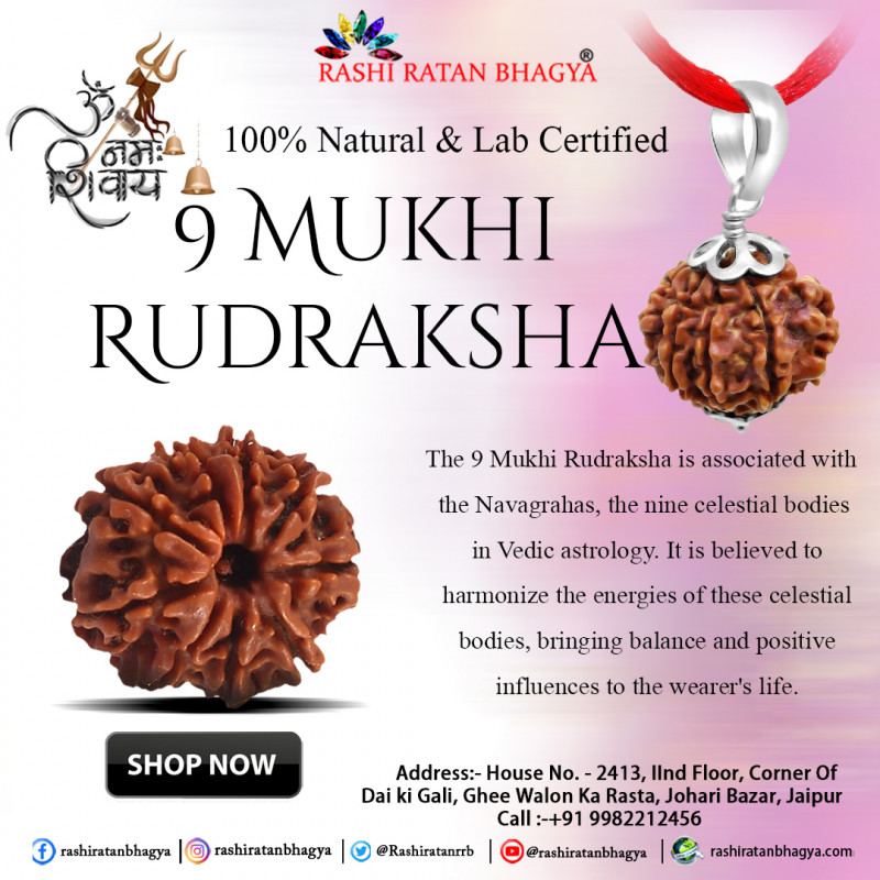 Get Original 9 Mukhi Rudraksha Online from Rashi Ratan Bhagya | 9 Mukhi ...