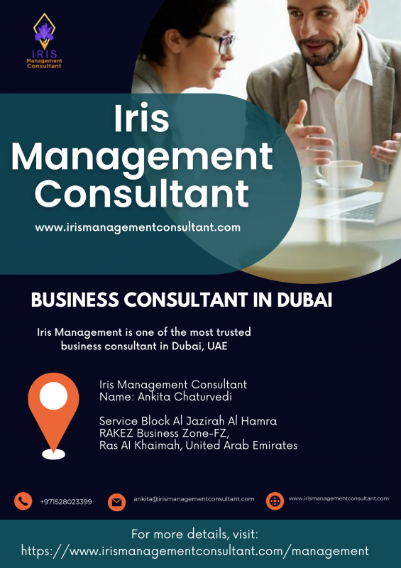 Business Management Consulting Firms In UAE | Iris Management Consultant