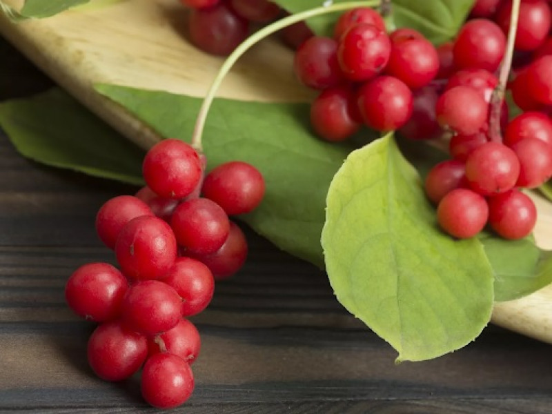 The Benefits Of Schisandra Berry Powder | A Comprehensive Guide ...