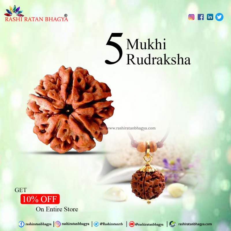 Buy Mukhi Rudraksha From Rashi Ratan Bhagya At Genuine Mukhi Rudraksha