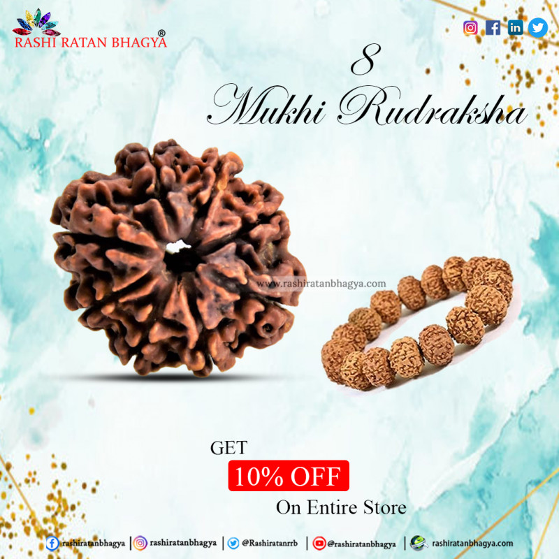 Buy Mukhi Rudraksha From Rashi Ratan Bhagya At Genuine Mukhi