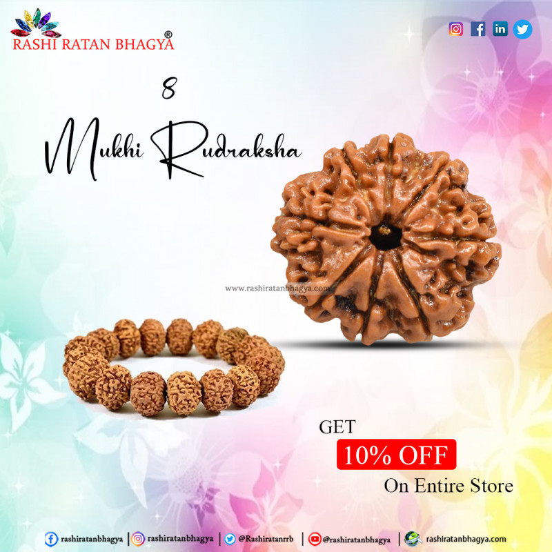 Buy Mukhi Rudraksha From Rashi Ratan Bhagya At Genuine Mukhi