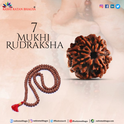 Buy Certified Mukhi Rudraksha Online In India Mukhi Rudraksha