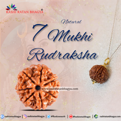 Buy Certified Mukhi Rudraksha Online In India Mukhi Rudraksha