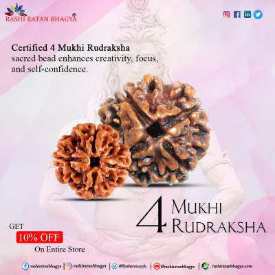 Buy Lab Certified Mukhi Rudraksha From Rashi Ratan Bhagya Mukhi Rudraksha