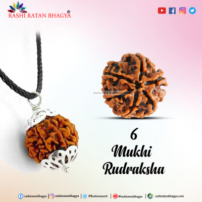 Buy Mukhi Rudraksha Beads Online At Rashi Ratan Bagya Mukhi Rudraksha