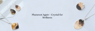 Healing Properties of Plumroot Agate Crystal: 