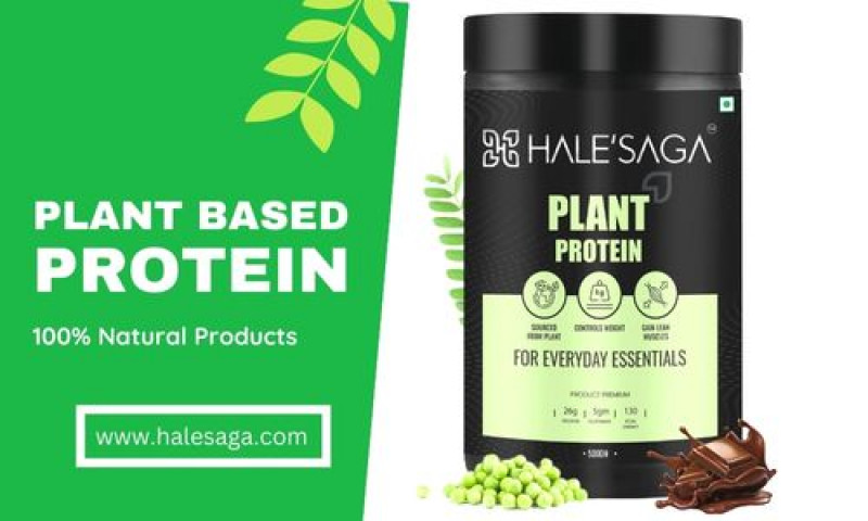 Best Plant-Based Protein Powder: 