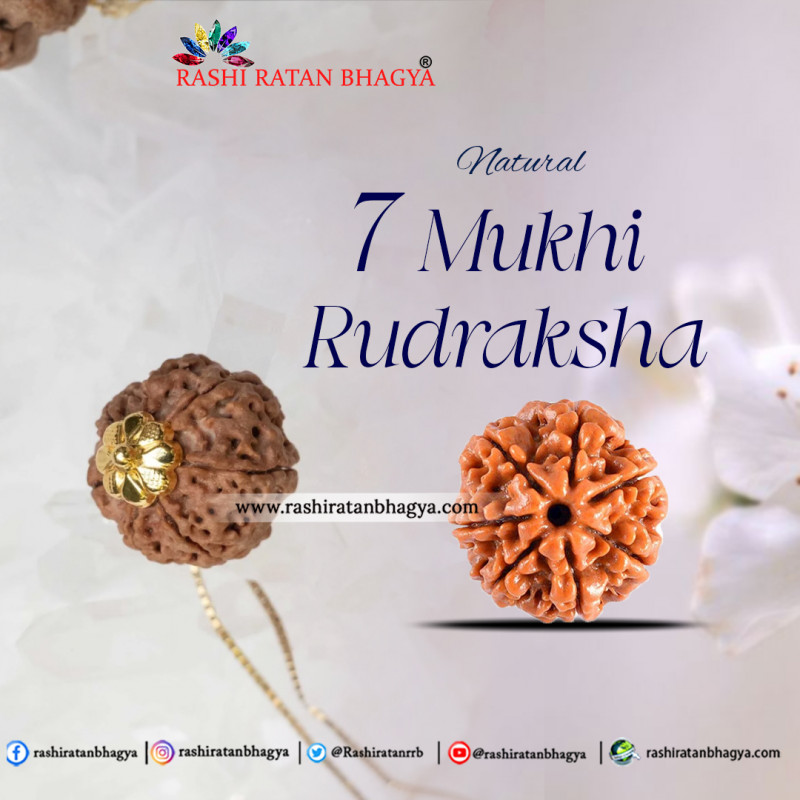 Buy Mukhi Rudraksha Online At Rashi Ratan Bagya Mukhi Rudraksha