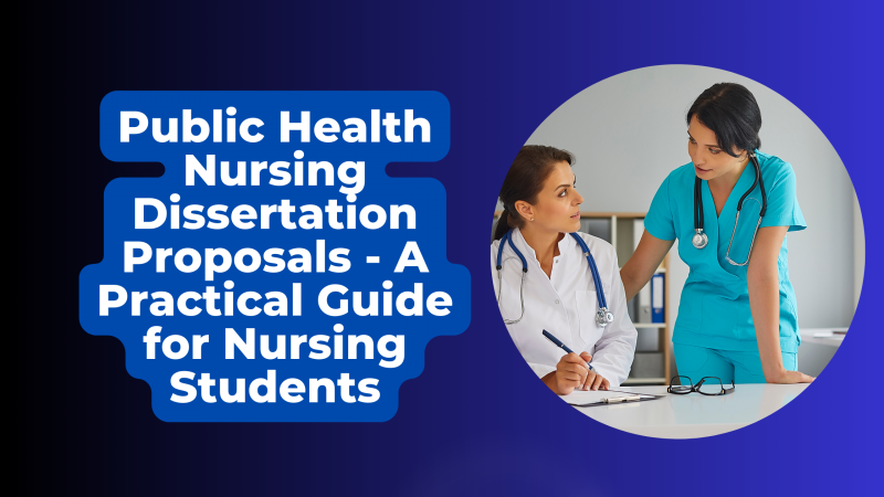 public health nursing research papers