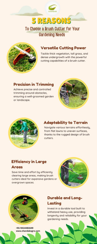 5 Reasons to Choose a Brush Cutter for Your Gardening Needs | Brush Cutter