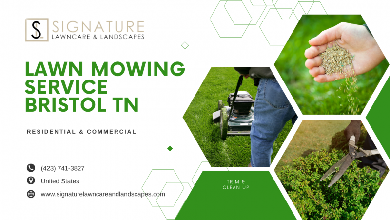 1 Best Signature Lawncare Landscaping Images In May 2024   1707942401 