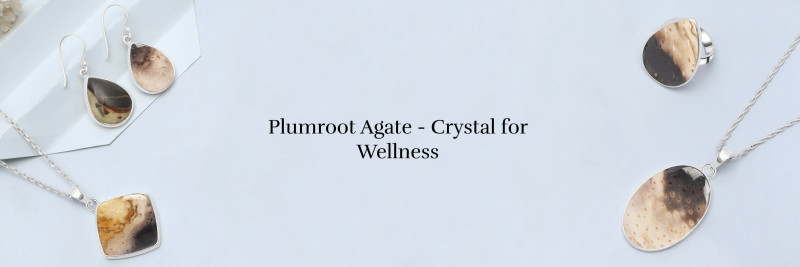 Healing Properties of Plumroot Agate Crystal: 