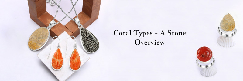 Types of Coral Stone A Complete Guide: 