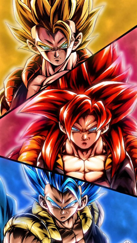 Download The Ultimate Warrior - Goku Supreme Wallpaper